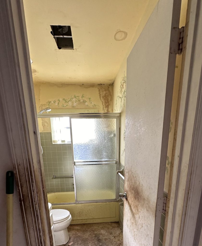 Bathroom-before