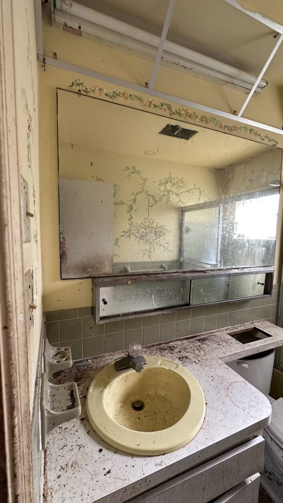 Bathroom-Remodeling-