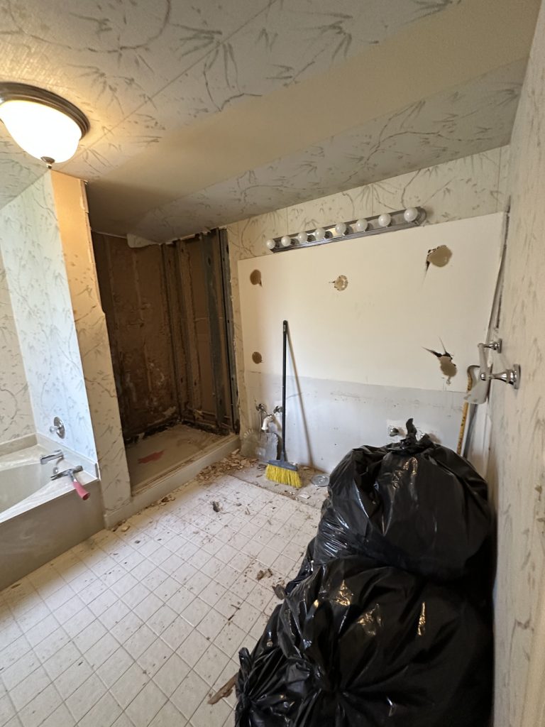 bathroom-remodeling-3